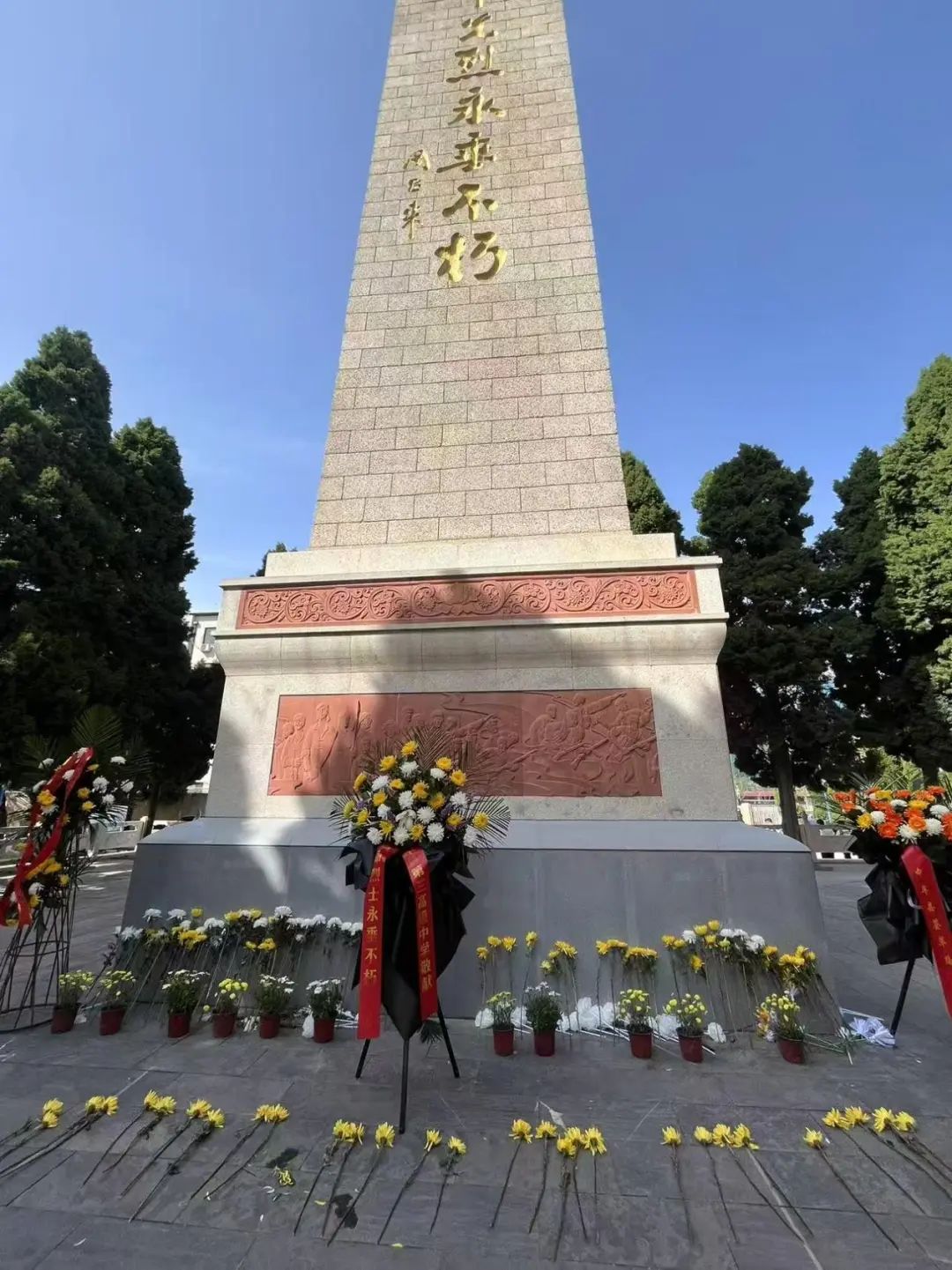 微信圖片_20250404210727.jpg